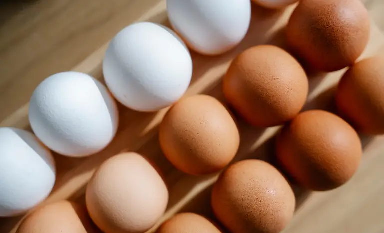 Portaria sobre ovos de consumo representa avanço e segurança para o setor produtivo